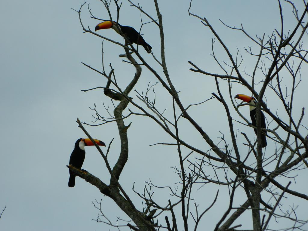 Pousada Nova Estancia Socorro  Exterior foto